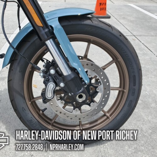 2024 Harley-Davidson® FXLRS thumb 2