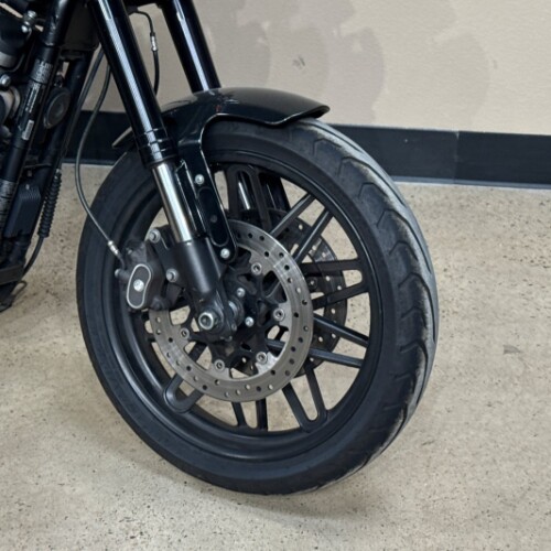XL1200R 2019 Roadster™ thumb 2