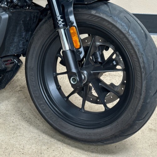 RH1250S 2024 Sportster™ S thumb 2