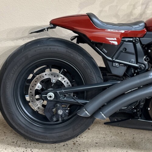 RH1250S 2024 Sportster™ S thumb 3