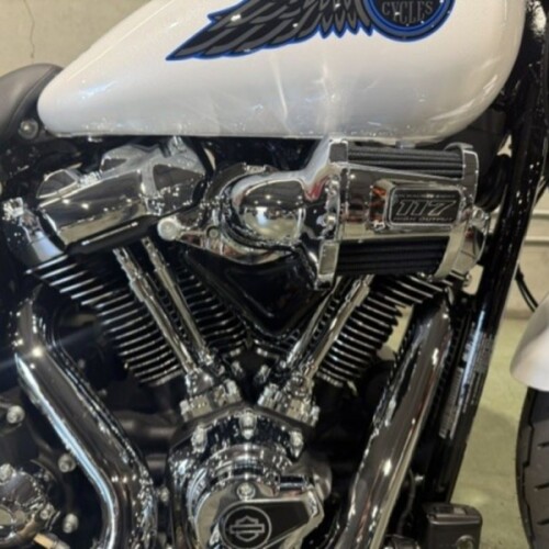 FXLRS 2026 Low Rider® S thumb 3