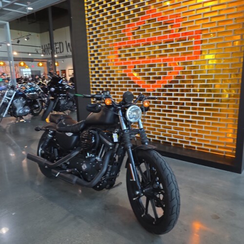 XL 883N 2017 Iron 883™ thumb 3