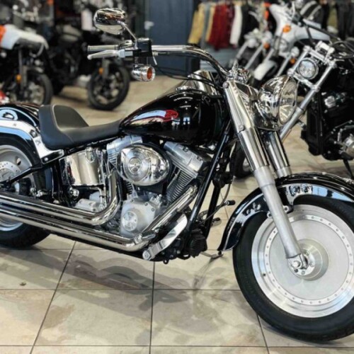 SOFTAIL CUSTOM thumb 3