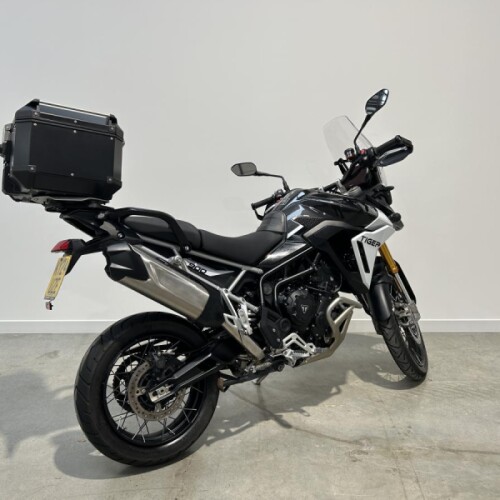  2024 Tiger 900 Rally Pro thumb 2
