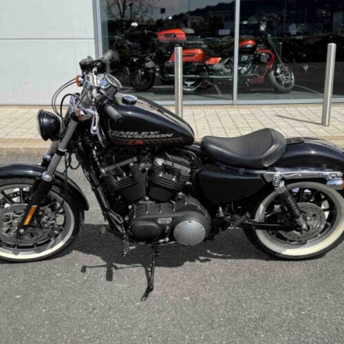 HARLEY-DAVIDSON XL883R SPORTSTER thumb 1