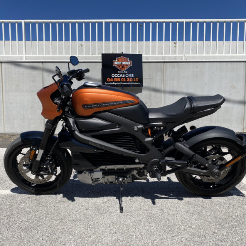 2020 Harley-Davidson® LiveWire™ thumb 0