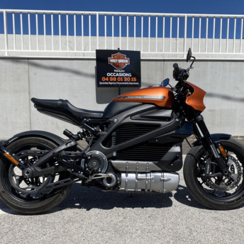 2020 Harley-Davidson® LiveWire™ thumb 3