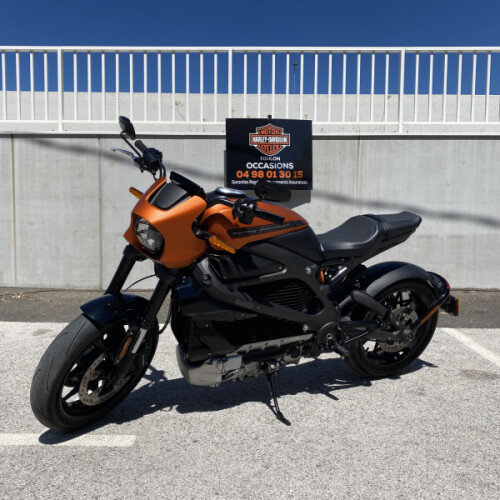 2020 Harley-Davidson® LiveWire™ thumb 1