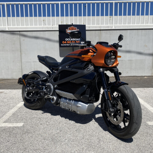 2020 Harley-Davidson® LiveWire™ thumb 2