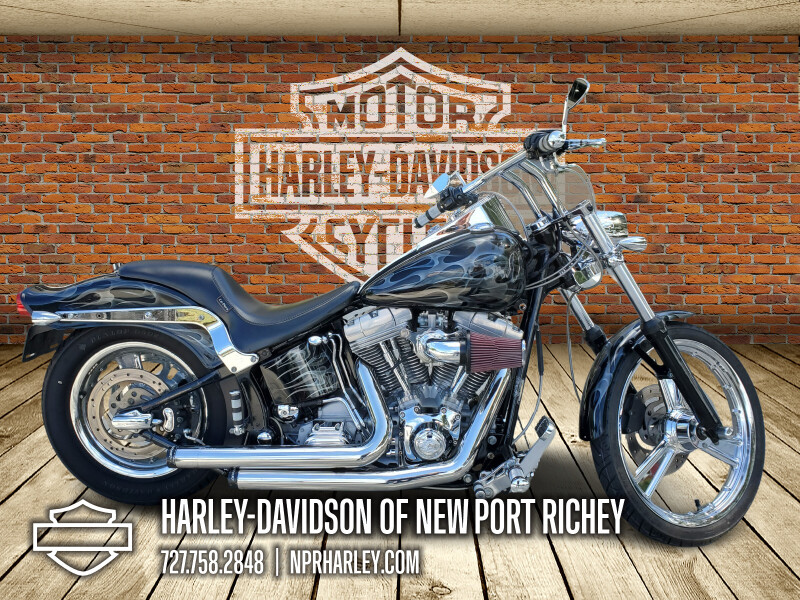 FXST 2001 Softail® Standard