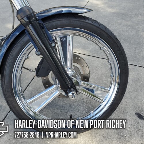 FXST 2001 Softail® Standard thumb 2