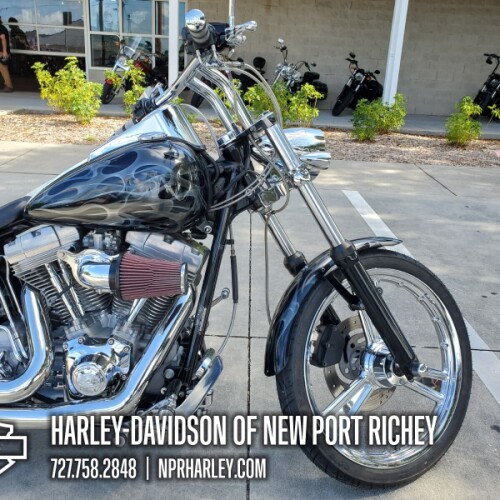 FXST 2001 Softail® Standard thumb 0