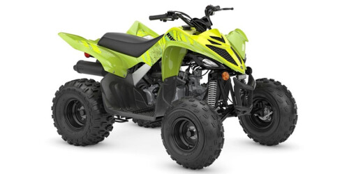 Raptor 110 thumbnail
