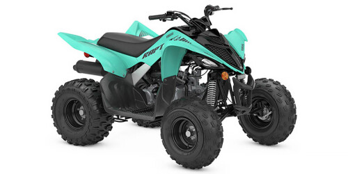 Raptor 110 thumbnail