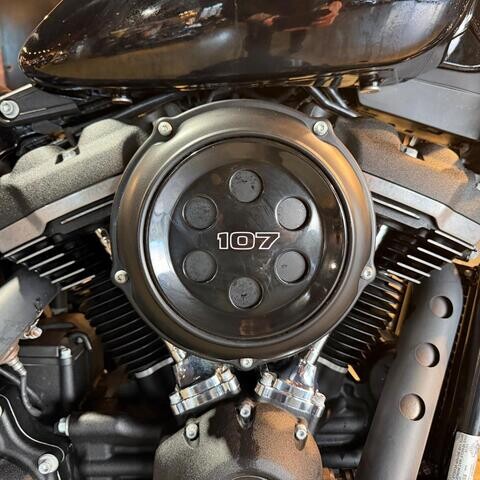2019 Harley-Davidson® Street Bob® thumb 1