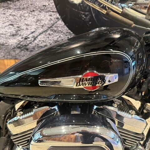 2011 Harley-Davidson 2011 Harley-Davidson 1200CC XL1200C 1200 CUSTOM CRUISER thumb 1