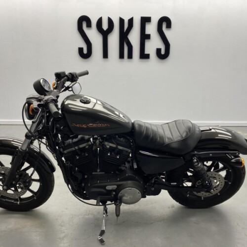 2019 Harley-Davidson XL883N Sportster Iron 883 in Silver Flux thumb 0