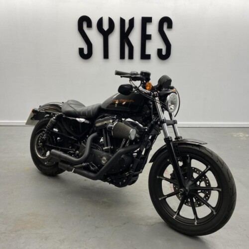 2019 Harley-Davidson XL883N Sportster Iron 883 in Silver Flux thumb 2