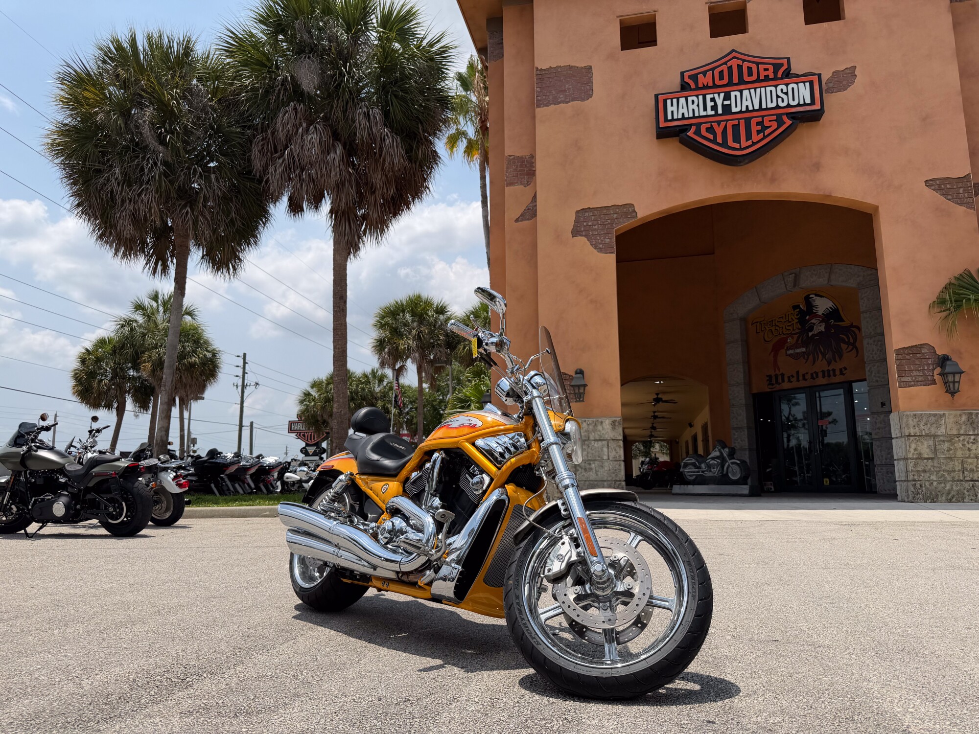 Harley-Davidson® Screamin’ Eagle V-Rod 2006