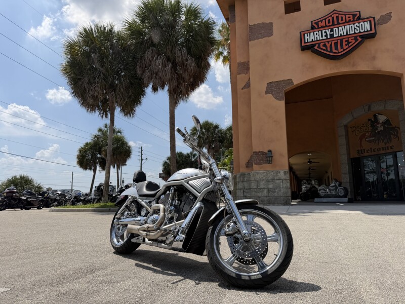 Harley-Davidson® V-Rod® 2002