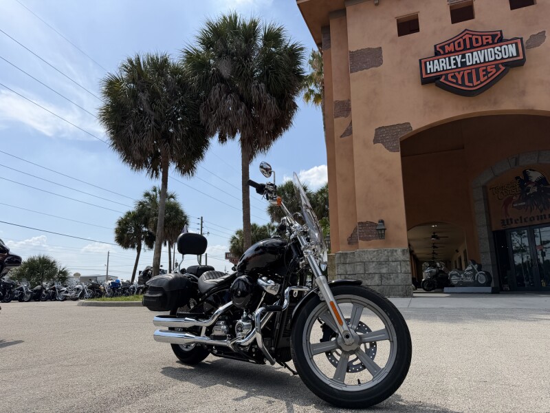 Harley-Davidson® Softail® Standard 2024