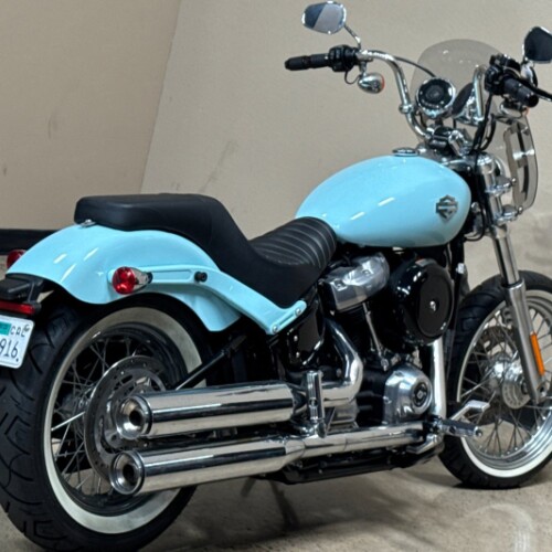 Harley-Davidson® Softail Standard® 2020 thumb 0
