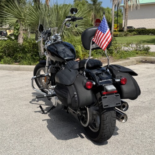Harley-Davidson® Softail® Standard 2024 thumb 0