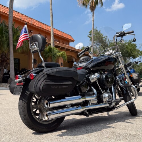 Harley-Davidson® Softail® Standard 2024 thumb 2