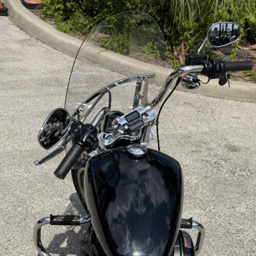 Harley-Davidson® Softail® Standard 2024 thumb 1