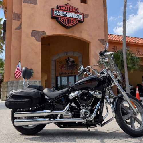 Harley-Davidson® Softail® Standard 2024 thumb 3