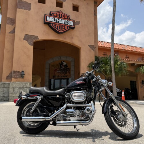 Harley-Davidson® 1200 Custom 2001 thumb 3