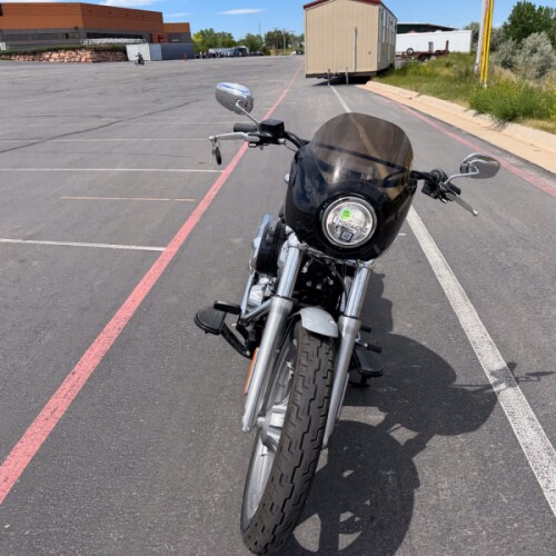 Harley-Davidson® Softail® Standard 2024 thumb 1
