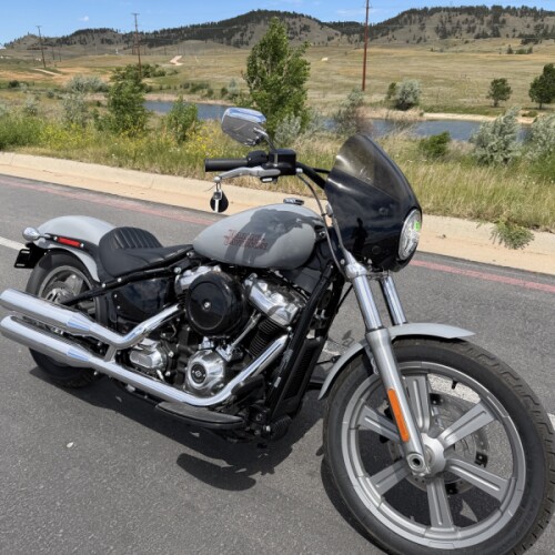 Harley-Davidson® Softail® Standard 2024 thumb 3