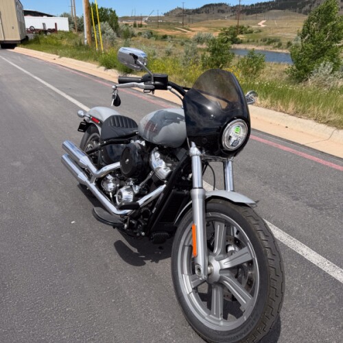 Harley-Davidson® Softail® Standard 2024 thumb 2