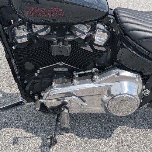 Harley-Davidson® Softail® Standard 2023 thumb 3