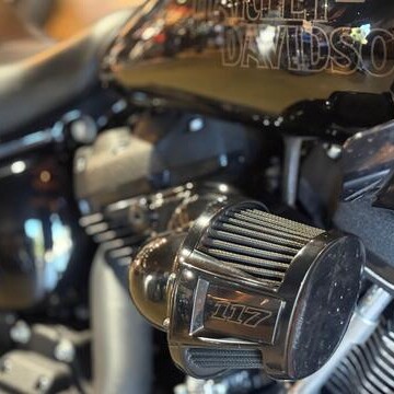 Harley-Davidson® Low Rider® ST 2023 FXLRST thumb 2