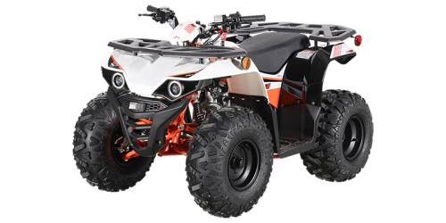 Bull 110 thumbnail