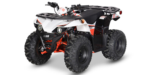 Bull 125 EFI thumbnail