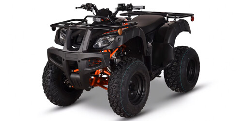 Bull 150 EFI thumbnail