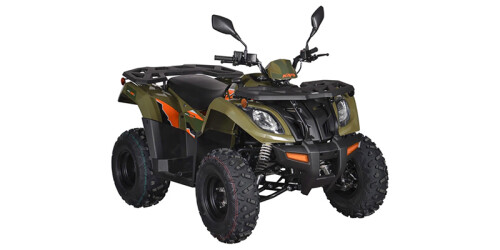 Bull 300 EFI thumbnail