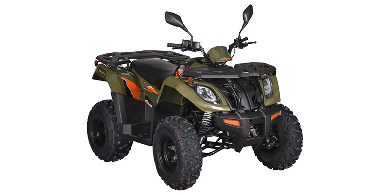 Bull 300 EFI