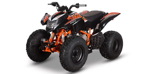 Storm 150 EFI thumbnail