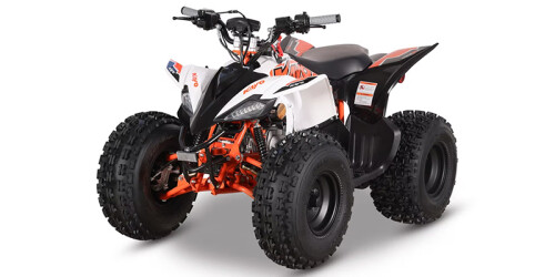 Predator 125 EFI thumbnail