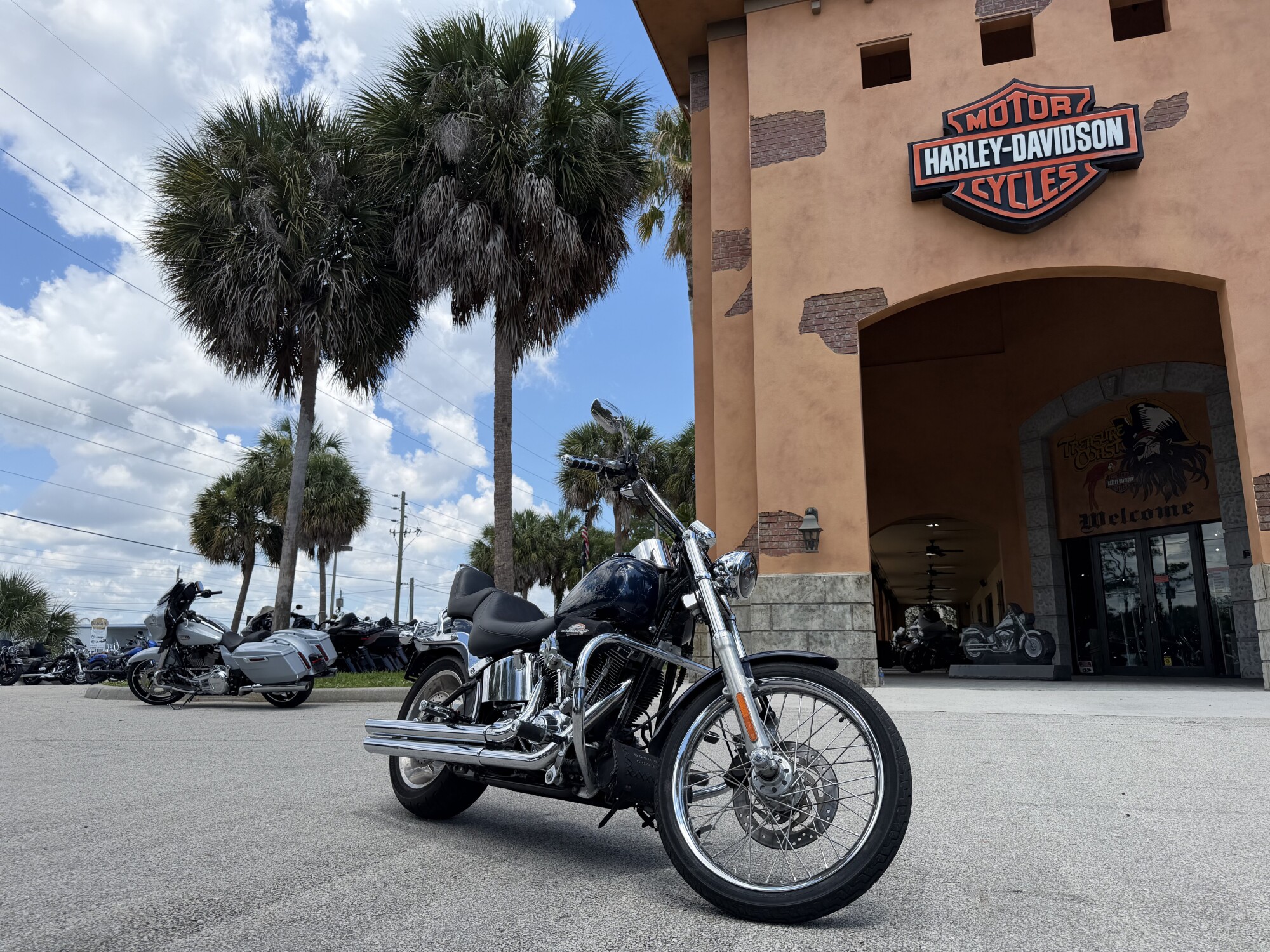 Harley-Davidson® Softail® Custom 2008