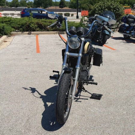 2008 Sportster 1200 Roadster thumb 2