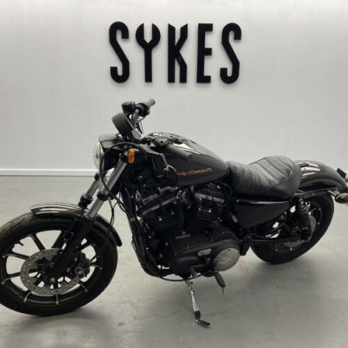2019 Harley-Davidson XL883N Sportster Iron 883 in Silver Flux thumb 1