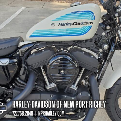 XL 1200NS 2019 Iron 1200™ thumb 1