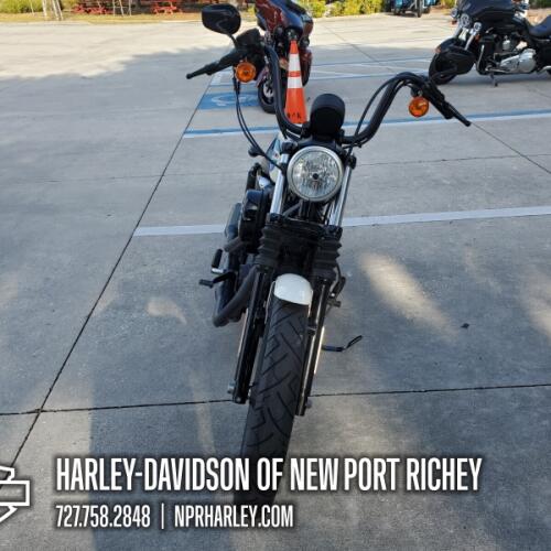 XL 1200NS 2019 Iron 1200™ thumb 3