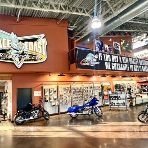 Harley-Davidson® Forty-Eight® 2010 thumb 0