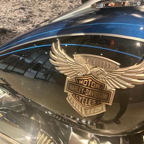Harley-Davidson® Fat Boy® 114 2018 FLFBS thumb 3